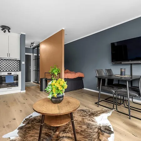 Apartment Sentral Og Nyoppusset *
